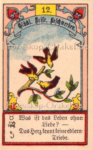 Die Vögel, Singlehoroskop Steinbock