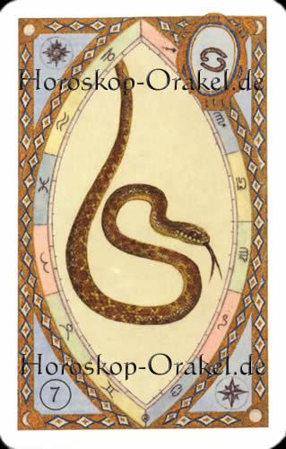 Die Schlange, Steinbock Monatshoroskop