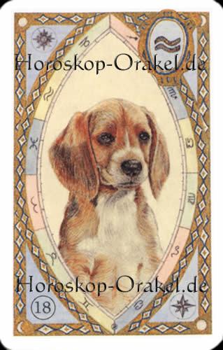 Der Hund, Steinbock Monatshoroskop
