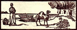Monatshoroskop Mai Steinbock